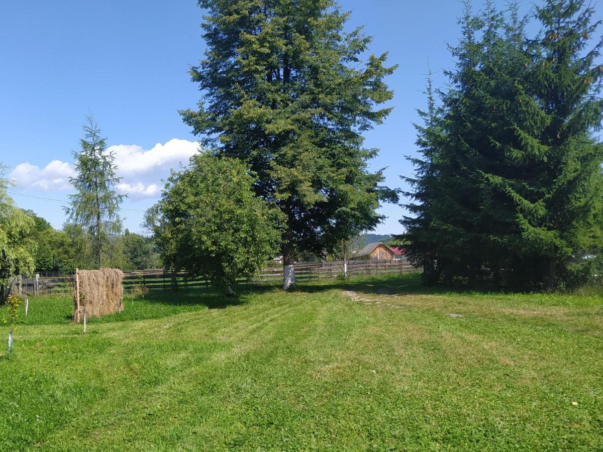 Casa Moldovita Eksteriør billede